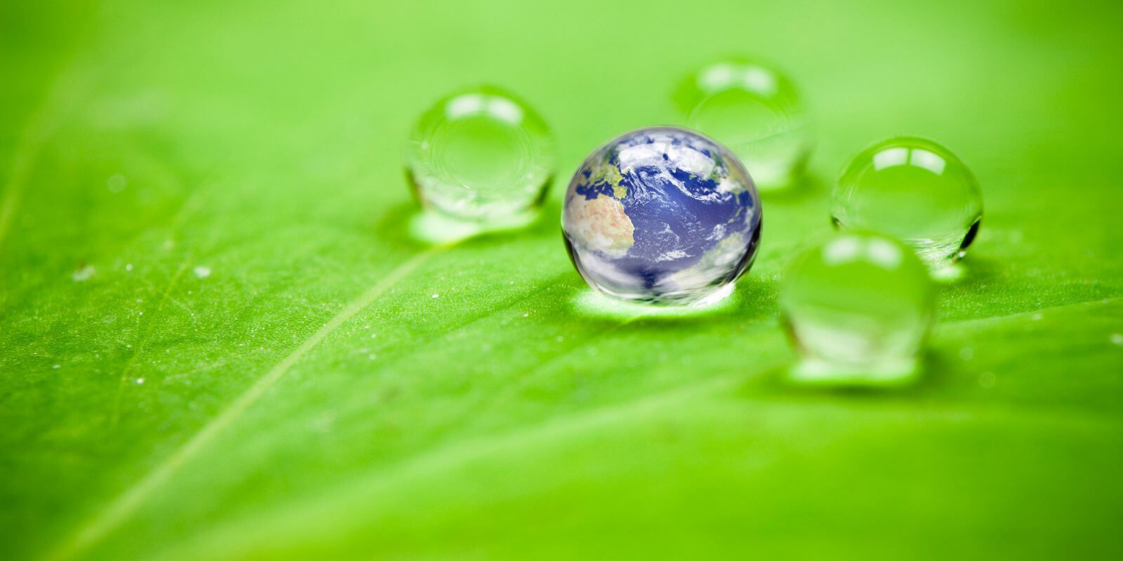 globe in water drop